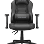 Cougar Chair Fusion S Black